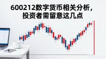 600212数字货币相关分析，投资者需留意这几点